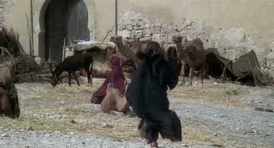 So there you are! - Life of Brian