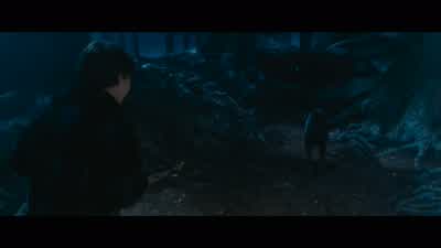 ...so there was no real way to take Robbie's features... - Harry Potter and the Chamber of Secrets