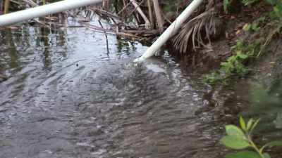 So there's some aeration,
some water movement in there, - Island of Bryan
