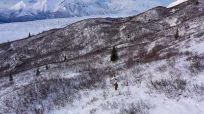 So these ptarmigan were up
here when it was snowing. - Life Below Zero: Next Generation
