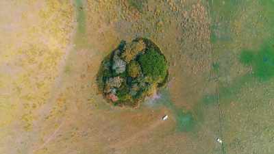 SO THESE REMAINS COULD MEAN
THAT EARLY AMAZONIANS - Lost Cities of the Amazon