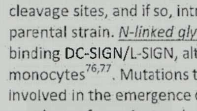 So if they engineered it to have - Thank You Dr. Fauci