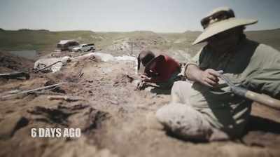 SO THEY STARTED DIGGING
IMMEDIATELY TO SEE - Dino Hunters