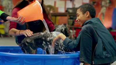 SO THEY'VE SENT OUT
A CANINE CASTING CALL. - Mythbusters Jr.