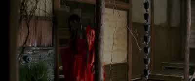 So this is the new arrival. - Memoirs of a Geisha
