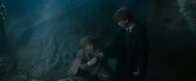 So this is what Dumbledoresends his great defender. - Harry Potter and the Chamber of Secrets