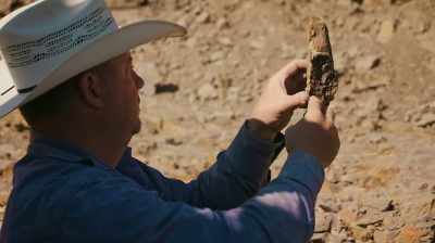 SO THIS TRICERATOPS WAS PROBABLY
3 TO 4 YEARS OLD. - Dino Hunters
