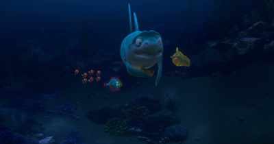 - So they told you
that they decided - Dolphin Boy