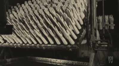 So he took a gamble
With an increase in productivity, - Aussie Inventions That Changed The World