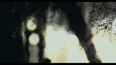 So, he turns down the throne - The Last Czars