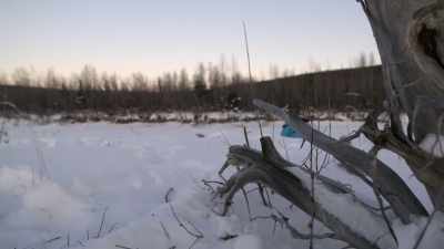 So, two days before they
realize you're missing, - Life Below Zero: Next Generation