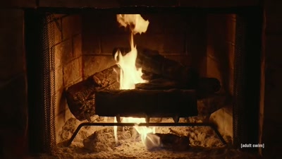So, uh, I think we're probably - Adult Swim Yule Log