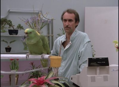 So, uh,
what do you want me to do? - Miami Vice