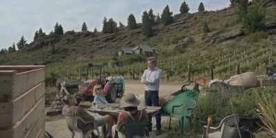 So, um, Gus, what is it that you - Under the Vines