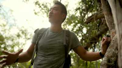 So you walk along,
you're in this forest - Lost Treasures of the Maya