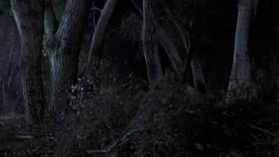 So, you want to play
hide-and-seek? - Leprechaun