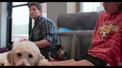 So, you want to say,
"Good lap." - Dogs
