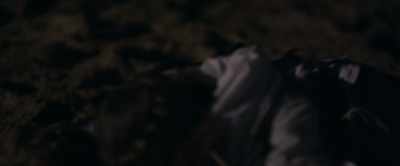So, this was talked about
and written about - The Lost Viking
