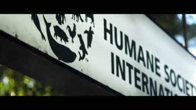 So we had a look at that
permit and we realized - Envoy: Shark Cull