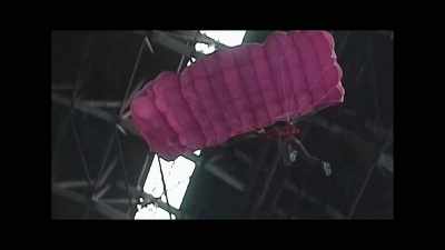 So we were pioneering
in figuring out - Fly