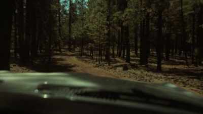 So, we were thinking somebody
local at that time. - The Co-Ed Killer: Mind of a Monster