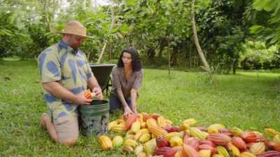 So, we're going
to machete 'em, - What Am I Eating? With Zooey Deschanel