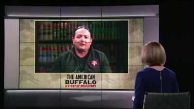 So, we're in a new
era now and, you know, - The American Buffalo
