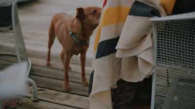 So we're just constantly,
you know, nurturing it. - The Cabin Chronicles