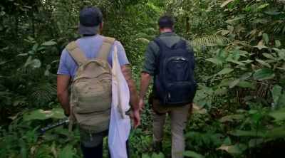 So we're just going to get our
nets and specimen containers, - Kings of Pain