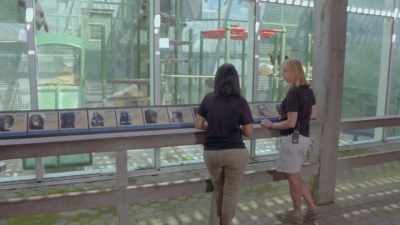 So, we're not quite sure
what that means. - Secrets of the Zoo