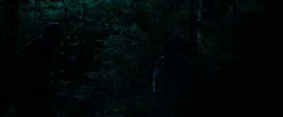 So what are you doing
all this way out
in the forest? - Burial