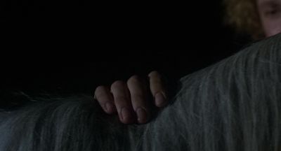 What do you do now - Equus