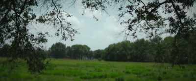 So what do you think
happened here? - Crime Scene: The Texas Killing Fields