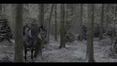So, what do you usually do at Christmas? - A Castle for Christmas