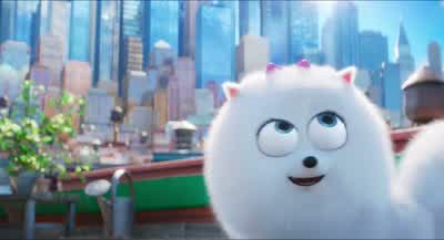 So, what does this Max look like? - The Secret Life of Pets