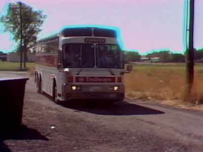 So, what evolves
is a steady stream of people - Wild Wild Country