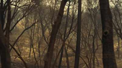 So what fire does
is it takes in oxygen - Bring Your Own Brigade