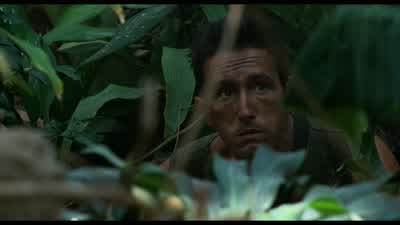 So, what you gonna try next? - Predator