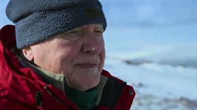 So what happens to animals
when their world changes colour? - Attenborough's Life in Colour