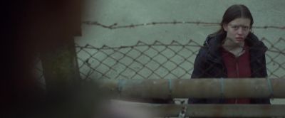 What happens now - The Survivalist