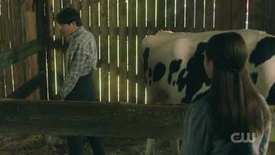 - So what if I did?
- Can I read it over? - A Waltons Thanksgiving