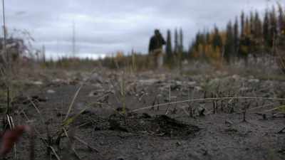 So, what I'd like to do, is I
like to throw out a cow call - Life Below Zero: Next Generation
