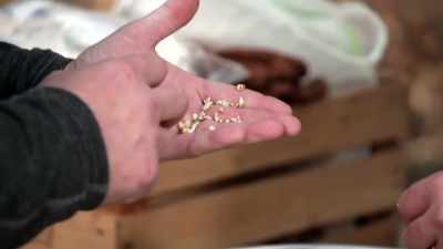 So what I'm going for - Moonshiners: Master Distiller