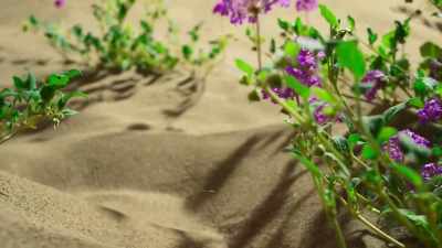 So, what we needed to do - The Green Planet