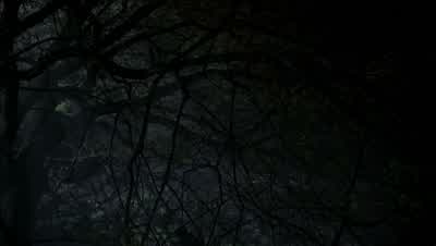 So, what? - Supernatural