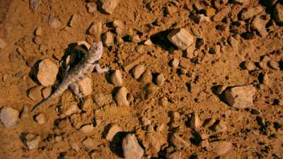 So, what should we
do as a species? - One Strange Rock