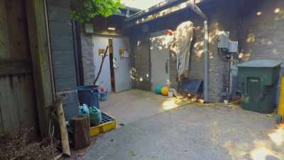 So, what we think
we're walking into - Secrets of the Zoo