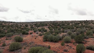 So, what we're looking for
is to have our flight path - Beyond Skinwalker Ranch