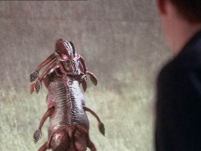 So, what will you do now? - Farscape