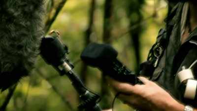 SO WHAT WOULD HE BE LOOKING FOR
WITH THE MANDE BURUNG? - Expedition Mungo